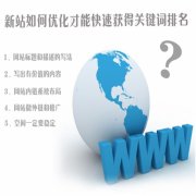 如何向现有网站添加内容