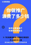 SEO网站关键词排名说的是什么