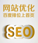 SEO优化网站如何快速排名到首页