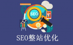 新建网站怎么做SEO优化经验分享