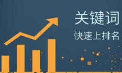 SEO优化快速提高网站流量